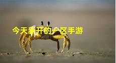 《妙墨中国心》走进隶书
