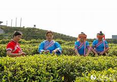 7633新开迷失传奇发布网,每日新开传奇发布网_传奇sf999网站 传奇s